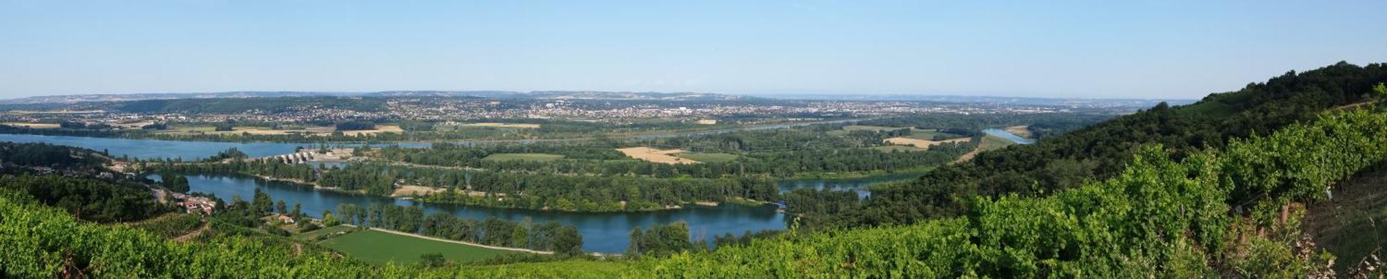 L'Ecrin De Vert Saint-Alban-du-Rhone Ruang foto